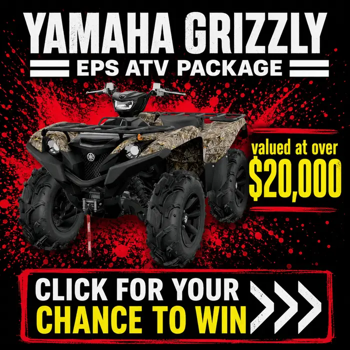 Popup Image