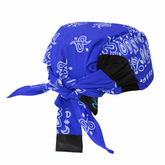 Radians RCS308 Blue Arctic Radwear Head Shade