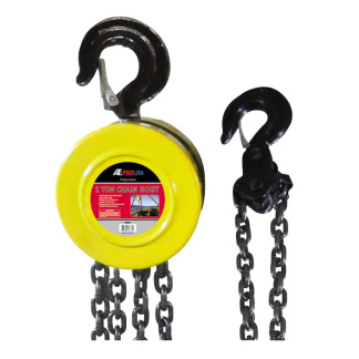 ATE Pro Tools 82770 1 Ton 10' Lift Chain Hoist
