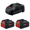 Bosch GXS18V-20N26 18V Starter Kit with (2) 6 Ah Batteries, (1) Fast Charger